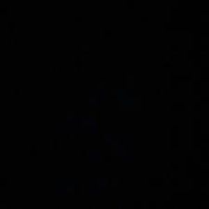 Meet your Posher, Augustin